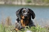 BEAUCERON 632